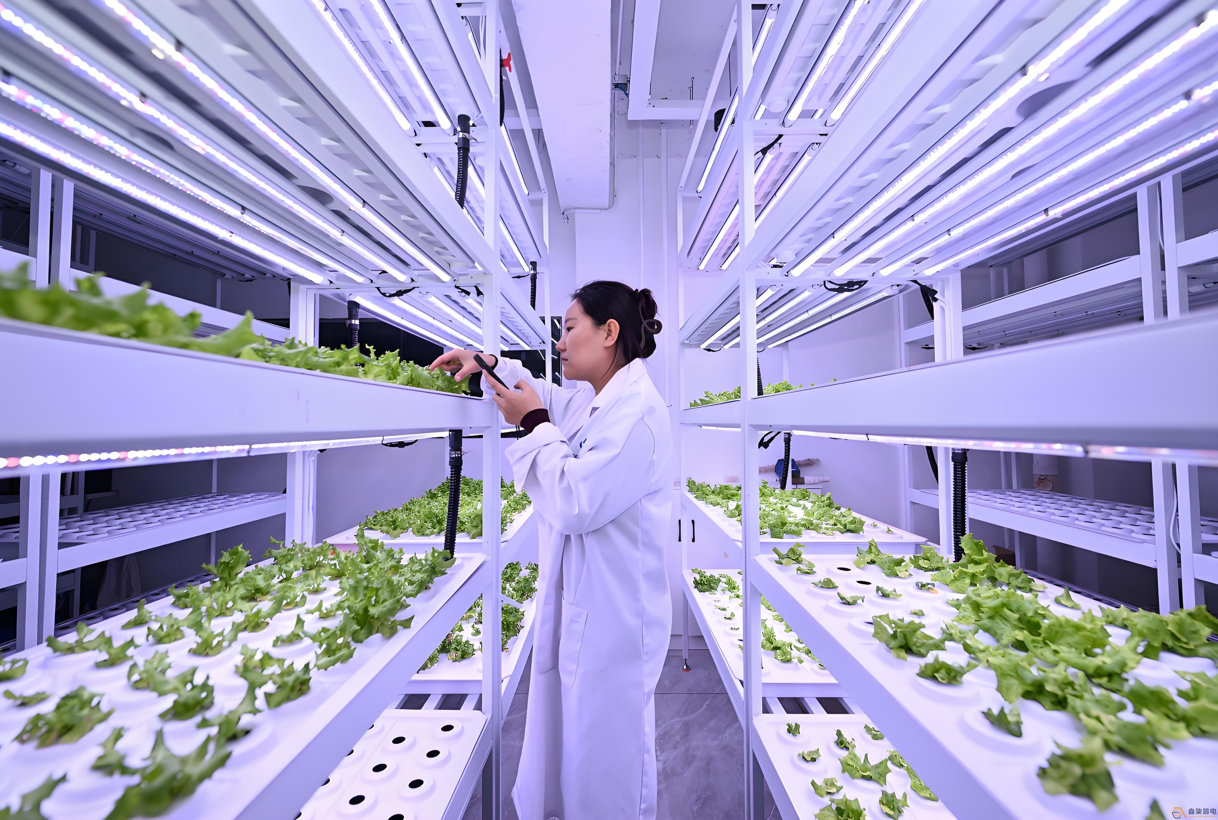 作物生長(zhǎng)全周期監(jiān)測(cè)解決方案