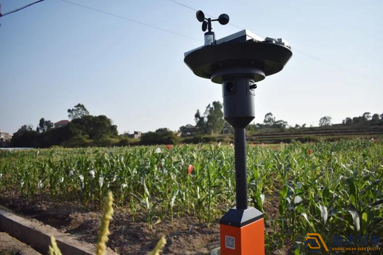 成都弱電公司—智能蟲情測報系統(tǒng)，保障植株安全